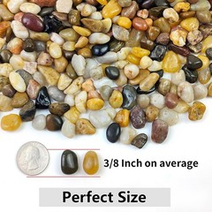 5LB Decorative Gravel Pebbles for Succulents, Cacti, Vases, Aquariums, Gardens