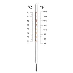 Glass Oral Adults Classic Accurate Temperature 4.7×0.3×0.3 inches, Blue