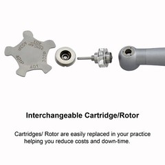 Dental Turbine BEING High Speed Handpiece For NSK Phatelus Mach Coupling 4 Holes