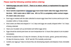 12+3 Khaki Campbell Fertile Hatching Eggs