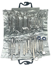 22 PCS PREMIUM GRADE GENERAL SURGERY SPAY PACK SURGICAL DENTAL INSTRUMENTS KIT
