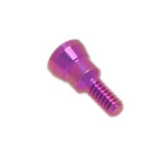 US Dental Healing Cap Screw Compatible with Straumann NC/RC CrossFit Implant Sys