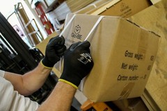 GlovBE Work/Garden All-Purpose 6/12/120 pairs Gloves with Latex Coated Palm Grip