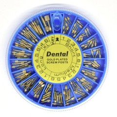 120pcs Dental Endodontic Conical Golden Stainless Steel Screw Post Drills 2 Keys