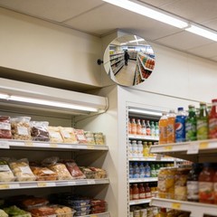 11.65 in Acrylic Convex Security Mirror, Wall Mount