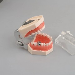 48 Sizes Dental Kids Primary Molar Crowns Stainless Steel Pediatric Crown Kit
