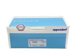 (960) EPPENDORF 10uL epT.I.P.S. Dualfilter Forensic DNA Grade Pipet Tips 10×96
