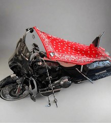 THIGHBRUSH® – ROJA – Water Repellent Motorcycle Cover and Sunshade