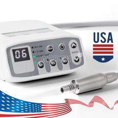 Dental Brushless LED Electric Micro Motor Internal Spray 1:1/1:5/16:1 QI901 USA
