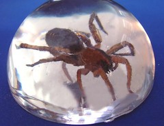 EPOXY RESIN CRYSTAL CLEAR 4 COATING CASTING FILLING EMBEDDING DOME COATING USE