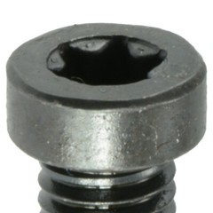 Black Oxide Torx Star Drive Fillister & Weaver Oval Head Gun Screws (10 pcs.)