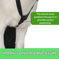 Urine Scald & Odor Control OLOR Buck Apron™ with Harness – Goats/Sheep XL REG