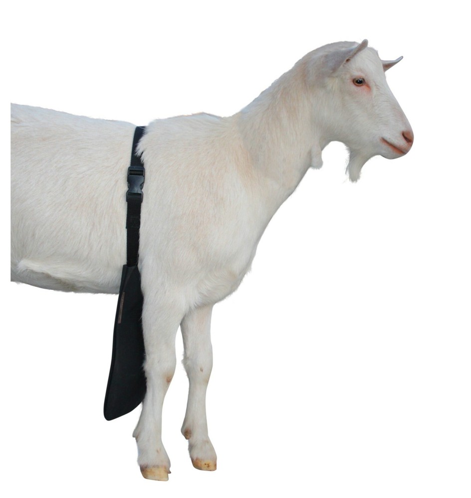 Urine Scald & Odor Control OLOR Buck Apron™ with Strap – Goats/Sheep SMALL