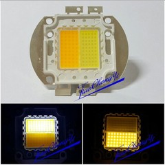 100W Double Color warm white + cool white 30-36V 3A High Power LED Light lamp