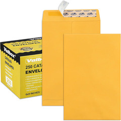 250 Count Self-Seal Brown Kraft Security Envelopes 6×9 Inches