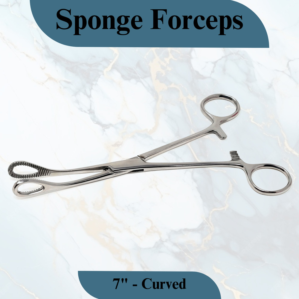 Sponge Forceps Curved 7″ Stainless Steel Tool for ENT Procedures Serrated Tips