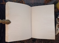 Book of Shadow Witch Grimoire Journal Blank Witchcraft Raven 8×6 in 600 Pages