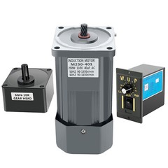AC110V Geared AV Motor 135 RPM Single-phase Gearmotors W/ Speed Controller