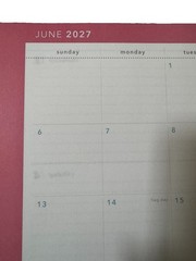 2027 Clementine 12 month Floral Planner July 2026-June 2027 11×9” Notebook Size