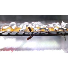 200pcs SMD 116ft 2835 Waterproof LED Module 1W, DC12V For Channel Letter Sign US