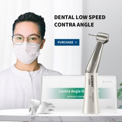 Dental Low Slow Speed Handpiece Contra Angle Straight Air Motor E-type 2/4 Holes
