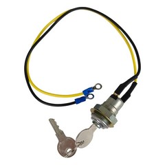 Ignition Key Switch w/2 Keys Fits Ford 2N 8N 9N NAA Jubilee 900 Tractors 8N3679C
