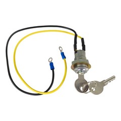 Ignition Key Switch w/2 Keys Fits Ford 2N 8N 9N NAA Jubilee 900 Tractors 8N3679C