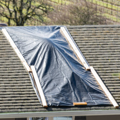 Vapor Barrier Supply – Poly Cover Black Polyethylene Plastic Sheeting