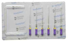 Dentsply Sirona Ready Steel C+ File for Catheterization All Length & Sizes-6/Pk