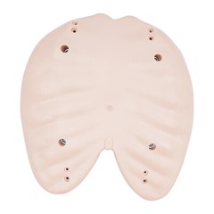 Adult CPR Adult Manikin for First Aid Training Patient Education Simulator Model