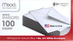 6 3/4 Inch White Gummed Flap Security Envelopes – 100 Count for Professionals