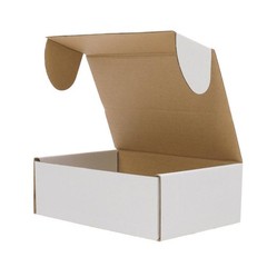 50 WHITE CORRUGATED MAILERS 6x4x2 Shipping Packing Box Mailer