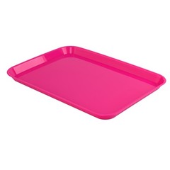 Dental Instrument Tray Autoclavable Plastic Flat Setup Tray Size B Anti-Skid