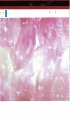 100 6×9 Peony Designer Poly Mailers Envelopes Boutique Custom Bags