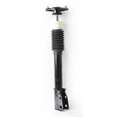 Rear Side Complete Strut Spring Assembly 171799 1985-1999