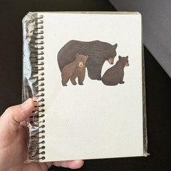 Crane Creek Graphics Blank Book Black Bears Notebook Bear Cubs Sealed