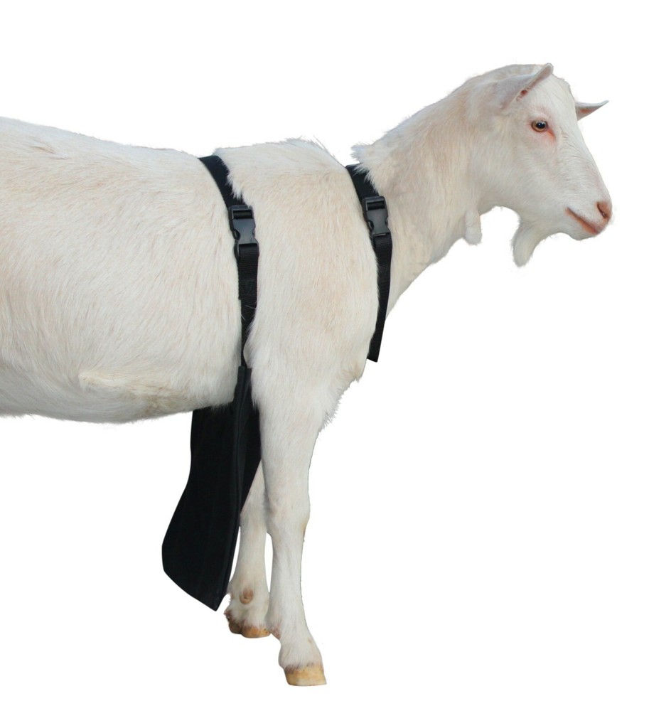 Urine Scald & Odor Control OLOR Buck Apron™ with Harness – Goats/Sheep XL LONG
