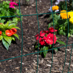 3 Ft. X 50 Ft. Galvanized Steel Green PVC Coated Welded Wire