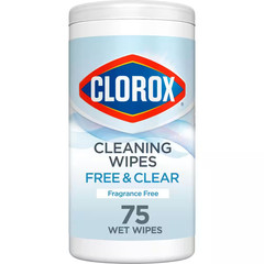 75-Count Free & Clear Compostable All-Purpose Cleaning Wipes