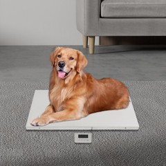 660LBS Shipping Weight Scale HD LED Display Scale Pet Floor Scale Parcel Scale