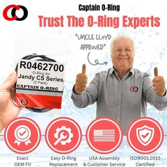 R0462700 Tank O-Rings for Jandy Zodiac CS100 CS150 CS200 CS250 Filter (2 Pack)