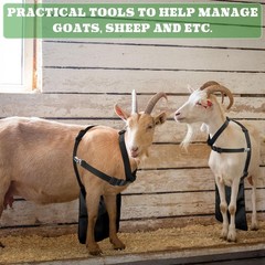 Kajaia Goat Apron Anti Breeding Sheep Skirt Control Buck Anti Mating With