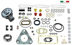 CAV OVERHAUL REBUILD KIT LUCAS DPA ROTO DIESEL INJECTION PUMP DELPHI MF FORD