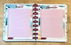 Set of 6 (Six) Month at a Glance Dashboard Inserts for use with Happy Planner-