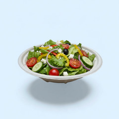 BOWL Fiber Compostable 24oz 500ct World Centric
