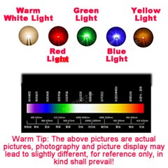 DC 5V~12V 3mm/5mm LED Bulb Pre wired Light Emitting Diodes Small 20cm Wire 0.1W