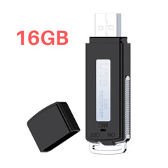 BUG USB Voice Recorder Activated Digital Mini Audio Listening Device Dictaphone