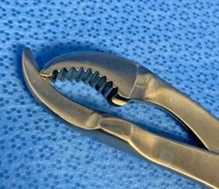 KMedic KM 47-124 Verbrugge Bone Holding Forceps 10.5 in.