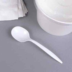 Karat PP Plastic Medium Weight Soup Spoons – White – 1,000 ct, U2007W