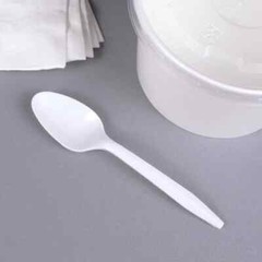 Karat PP Plastic Medium Weight Tea Spoons – White – 1,000 ct, U2008W